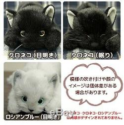 Dousin Realistic Cat Stuffed Toy Made In Japan Black Cat L