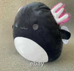 12 Inch Squishmallow Nwt Jaelyn Axolotl- L@@k! Ships For Free & Fast