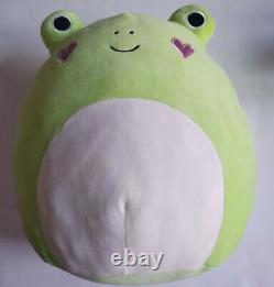 12 Philippe The Frog Squishmallow