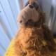 1986 Alf Alien Productions Plush Vintage Stuffed Animal Tv Movie Show