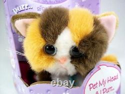 2001 DSI Kitty Kitty Kittens Rascal Plush Toy New In Box White Orange Brown Cat