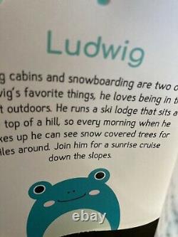 2021 Squishmallow 16 Ludwig the Teal Blue Frog Books a Million Exclusive NWT