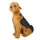 Airedale Terrier By Piutre, Hand Made In Italy, Plush Stuffed Animal Nwt