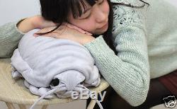Animal Stuffed soft toy Giant Isopod 55cm XL Realistic Plush Doll Benthos Japan