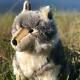 Auswella Plush Sitting Timber Wolf Plush Stuffed Animal