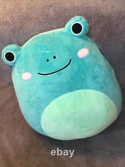 BAM 16 LUDWIG Teal Blue FROG Books A Million Exclusive Squishmallow Plush Toy