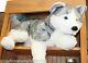 Barker Plush 30 Large Husky Stuffed Animal Dog By Douglas Large