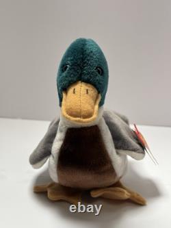 Beanie Babies TY Jake the Mollard Duck Small Plush Stuffed Animal Toy NEW