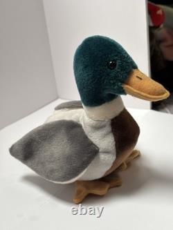 Beanie Babies TY Jake the Mollard Duck Small Plush Stuffed Animal Toy NEW