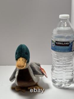 Beanie Babies TY Jake the Mollard Duck Small Plush Stuffed Animal Toy NEW