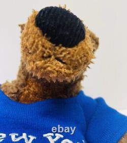 Bear Plush Toys R Us Curly Fur New York Brown Sweater Stuffed Animal Toy