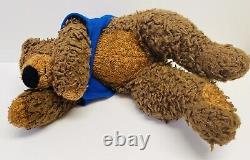 Bear Plush Toys R Us Curly Fur New York Brown Sweater Stuffed Animal Toy