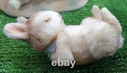 Beatrix Potter The Flopsy Bunnies R John Wright Ltd/ed Very Rare M. I. B