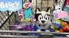 Bluey Baby Muffin Heeler Baby Bluey Toys