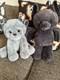 Build-a-bear Plush Gargoyle Stuffed Animal Limited Edition Release + 2025 Bat