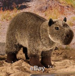 Capybara baby collectable soft toy by Kosen / Kösen 6540 25cm