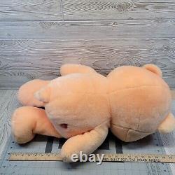 Care Bears Friendship Bear Plush Smiling Flowers Stuffed Animal Vtg 2002 26 in