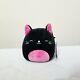 Catarina The 5 Black Pink Halloween Cat Kitty Squishmallow Stuffed Animal Plush