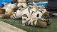 Creep Cat Toy Company 6 Ft Striped Hyena Plush Rare! Un Stuffed Msrp-$300