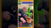Cute Mexica Plush Dancing Cactus Electric Plush Toy