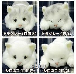 DOUSIN Made in Japan Realistic cat stuffed toy Plush 58cm Blackcat L eyesight