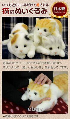 DOUSIN Made in Japan Realistic cat stuffed toy Plush Blackcat L eyesight