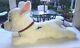 Disney Bolt 30 Jumbo Plush Stuffed Animal Toy Laying Down Dog Htf