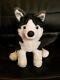 Douglas Cuddle Toys Rainier Husky Stuffed Plush Dog Fast Shipping