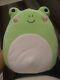 Extremely Rare Squishmallow Valentines Philippe The Frog Heart Cheeks 8 Plush