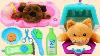 Feeding And Grooming Pet Care Playset With Cute Plush Puppy And Kitten Dolls