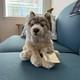 Ganz Webkinz Signature Timber Wolf Soft Plush Stuffed Animal Wks1008 Sealed Code