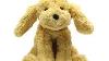 Gund Cozys Collection Puppy Dog Stuffed Animal Plush Tan 8 Adsn