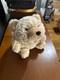 Gund Limited Edition Mohair Bear Snuffles 13 Tan Plush Stuffed Animal