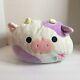 Htf Cow Squishmallow Claire Stackable Pink & Floral Embroidery Plush Very Rare