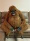 Hansa Orangutan Life Size Hand Crafted Realistic Designer Collection Plush