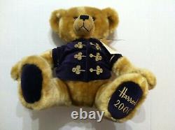 Harrods Highland Millenium Christmas Plush Plaid Brown Teddy Bear 2000 Vintage