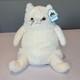 Jellycat Amore Creme Cat Stuffy Stuffed Animal Plush Nwt 12 Inch