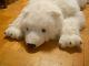 Jumbo Size Polar Bear Plush Stuffed Shaggy Animal 60 (5 Feet) Long