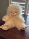 Jellycat 12 Stuffed White Abominable Snowman Plush Animal Yani Yeti Retired