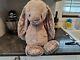 Jellycat Big Blossom Beige Bunny'petal' Plush Toy Stuffed Animal 100%original