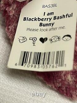 Jellycat Bashful Special Edition Blackberry Bunny Rabbit Medium Retired NWT