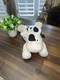 Jellycat Dozydou Cow Plush Stuffed Animal Retired Design