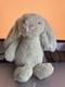 Jellycat Kiwi Bashful Bunny 12 Medium Plush Rabbit Stuffed Animal Green