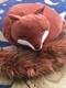 Jellycat Nestie Fox Plush Stuffed Animal Tail Sleep Pillow Retired Nest Rare