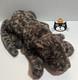Jellycat Plush Lexi Leopard Large Stuffed Animal Rare