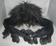 Jellycat Spout The Spider Large Plush Stuffed Animal Toy