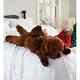 Labradoodle Dog Body Pillow Stuffed Toy Oversize Soft Faux Fur Animal Plush Pup