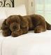 Large 4ft Chocolate Lab Plush Body Dog Pillow Oversize Soft Stuffed Animal 48l