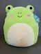 Large Squishmallow Frog Wendy The Frog Squishmallow 16 Usa Exclusive Frog