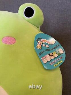 Large Squishmallow Frog Wendy The Frog Squishmallow 16 USA Exclusive Frog